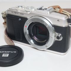 OLYMPUS/PEN Lite E-PL7/ダブルズームキット/ミラーレス一眼 ④