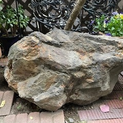 庭石
ガーデニング