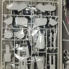 デンドロビウムの画像