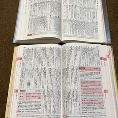 【本体美品!】ベネッセ新修国語辞典、漢和辞典セットの画像