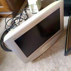 テレビ無料