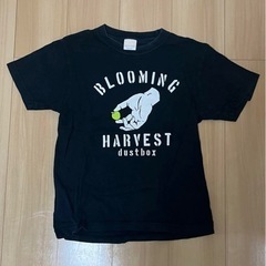 dustbox  Tシャツ