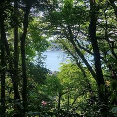 マイキャンプ：逗子桜山キャンプサイト