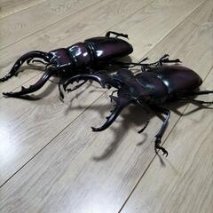 クワガタ特大フィギア２体の画像