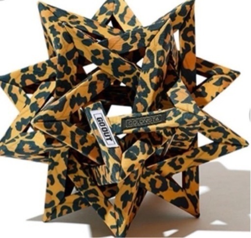 コロニスタ✖️ゴーアウトConor 10