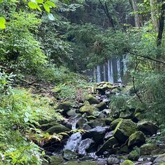 マイキャンプ：箱根須雲川キャンプサイト