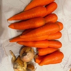 人参と玉ねぎです！⑤