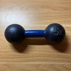 鉄アレイ　5kg✖️1個