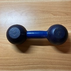 鉄アレイ　5kg✖️1個の画像