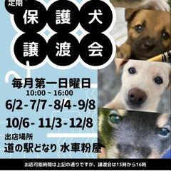 出店募集中！