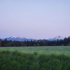 マイキャンプ：十和田奥瀬冷水キャンプサイト