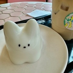 🇰🇷韓国旅行が好きな方お話ししましょう！ - 新宿区