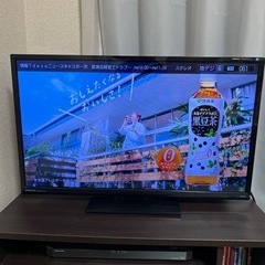 家電 テレビ 液晶テレビ