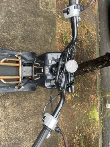 HONDA zoomer ホンダ　ズーマー　車体本体