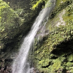 波動調整、魂の癒し、次元上昇　ヒーリングの画像