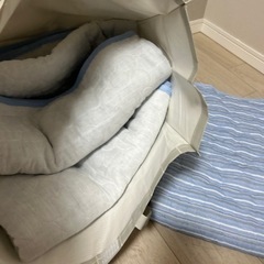 家具 カーペット/マット/ラグの画像