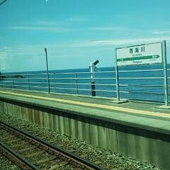 ウォーキング仲間募集