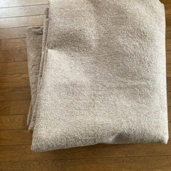カーペット　ミルクココア色　
260✖️285