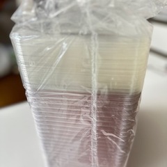 使い捨て弁当箱 テイクアウト100個×1の画像