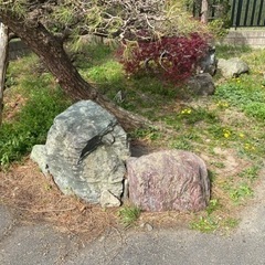 庭石の画像