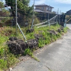 庭石の画像