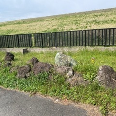 庭石の画像