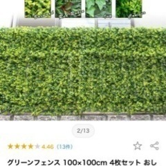 早い者勝ち【フェイクグリーン目隠し】