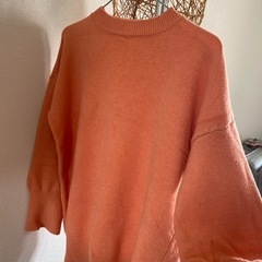 服/ファッション トップス レディースの画像