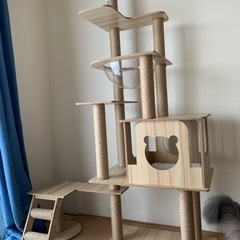 キャットタワー
