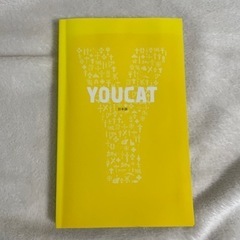 YOUCAT