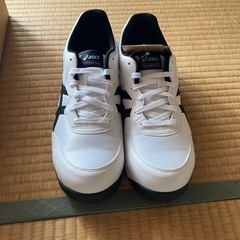 その他の画像