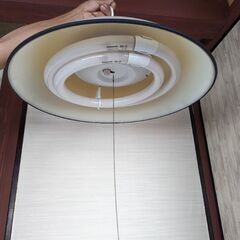 電気の傘の画像