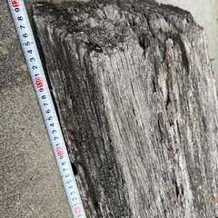 オーストラリアの本物の枕木  10年以上前に購入 雨ざらし 結構...