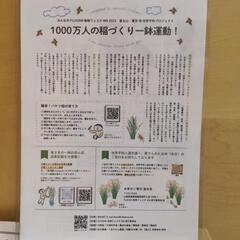 1000万人の一鉢運動🌾