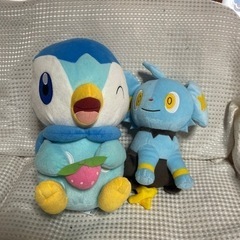 ポケモン　ぬいぐるみ　ポッチャマ　レントラー