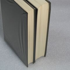 中国正統 五術占い全書 佐藤六龍②の画像