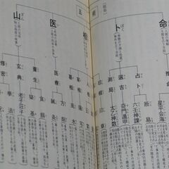 中国正統 五術占い全書 佐藤六龍②の画像