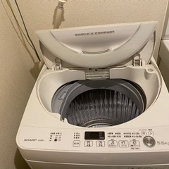 家電 生活家電 洗濯機