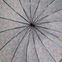 傘　レディース　親骨55cm 16本骨の画像