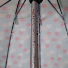 傘　レディース　親骨55cm 16本骨の画像