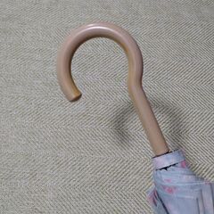 傘　レディース　親骨55cm 16本骨の画像