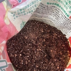 トマト園芸用の土、2年前購入、ベランダ保存。の画像