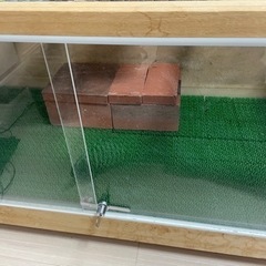 爬虫類用ケージ幅120センチ