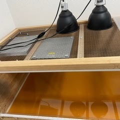 爬虫類用ケージ幅120センチ