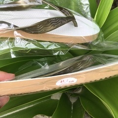 しまぞうり　27.0cmの画像