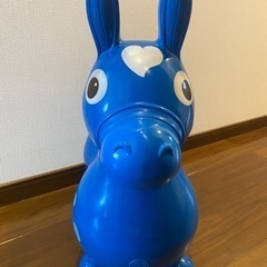 ロディの画像