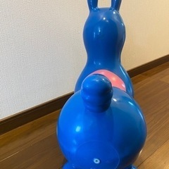 ロディの画像