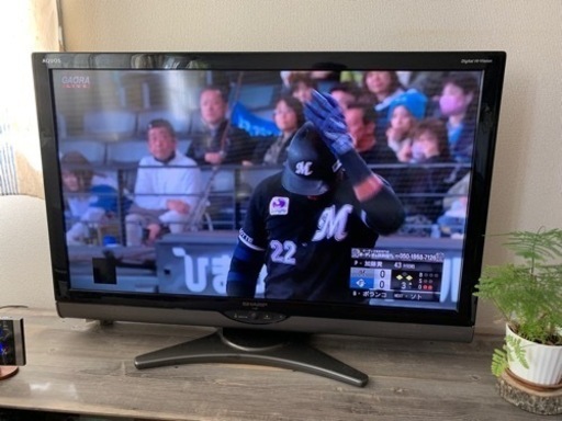 家電 テレビ 液晶テレビ