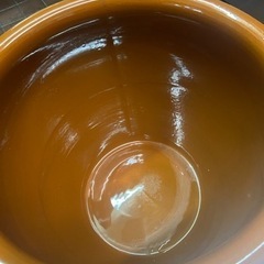 漬け物たる　　　の画像