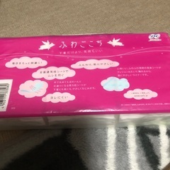 未使用パンティライナーの画像